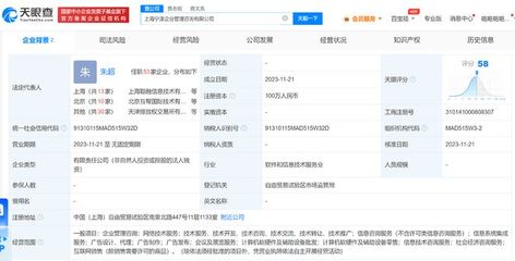 螞蟻集團在上海成立企管咨詢公司，拓展軟硬件批發業務